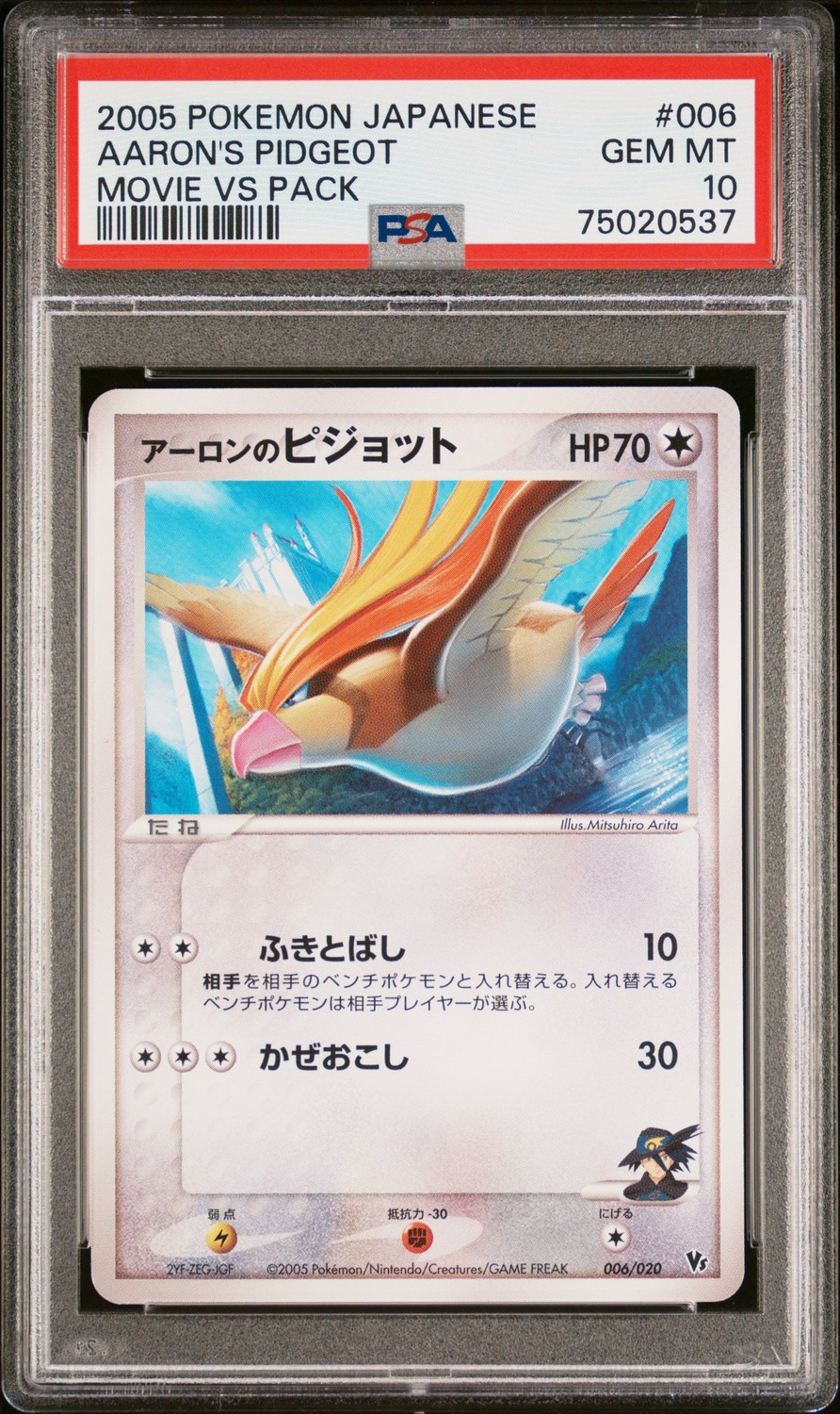 Aaron's Pidgeot