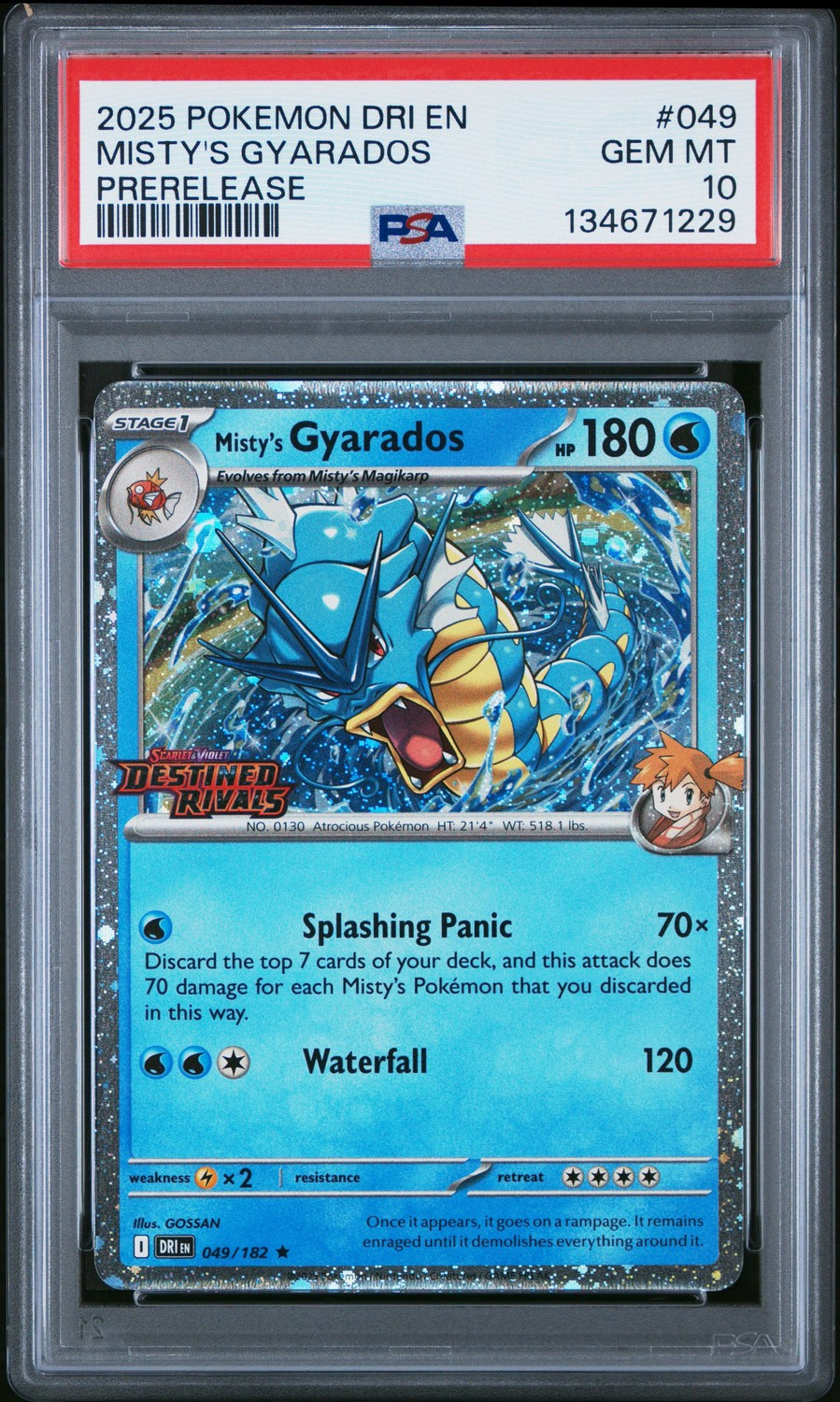 MISTY'S GYARADOS