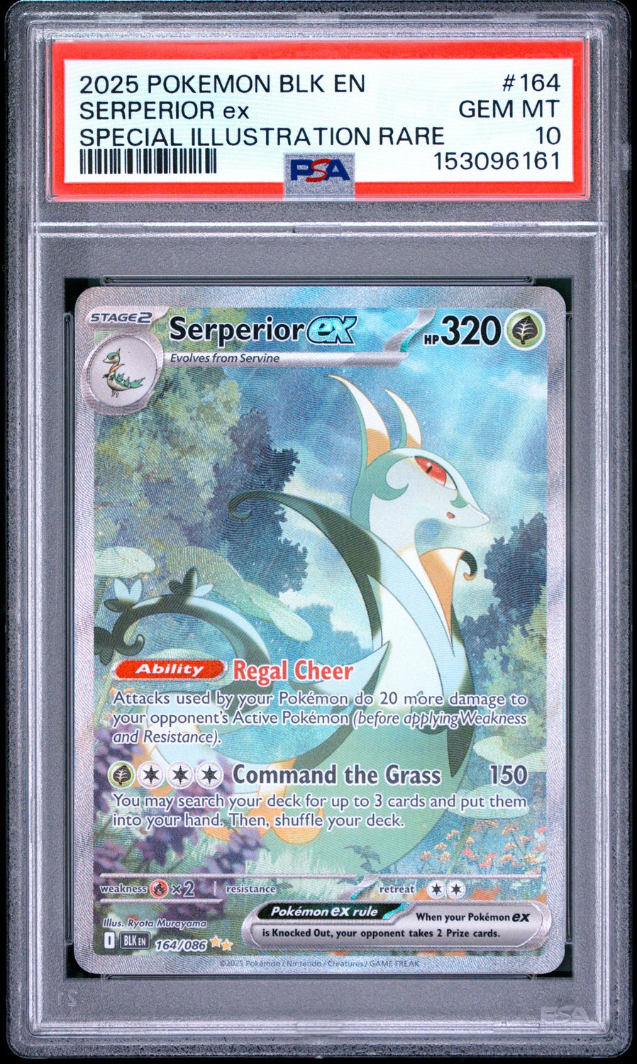 SERPERIOR ex
