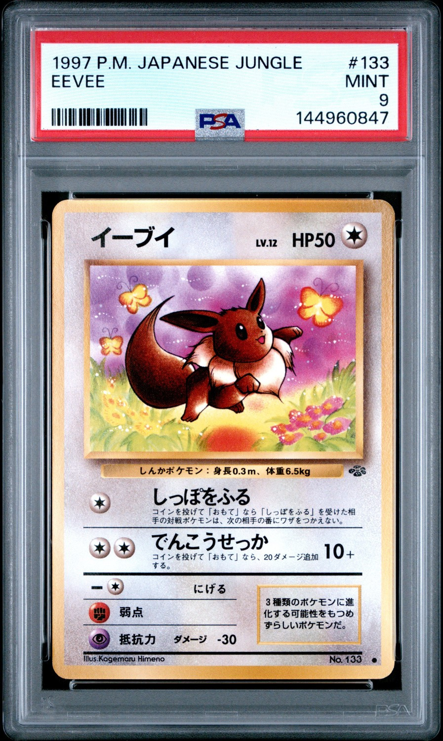 Eevee
