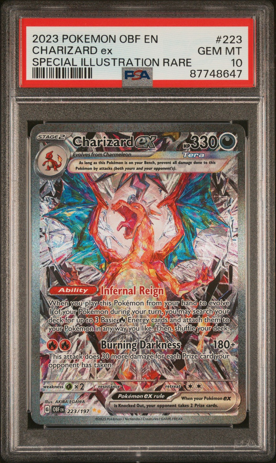 CHARIZARD ex