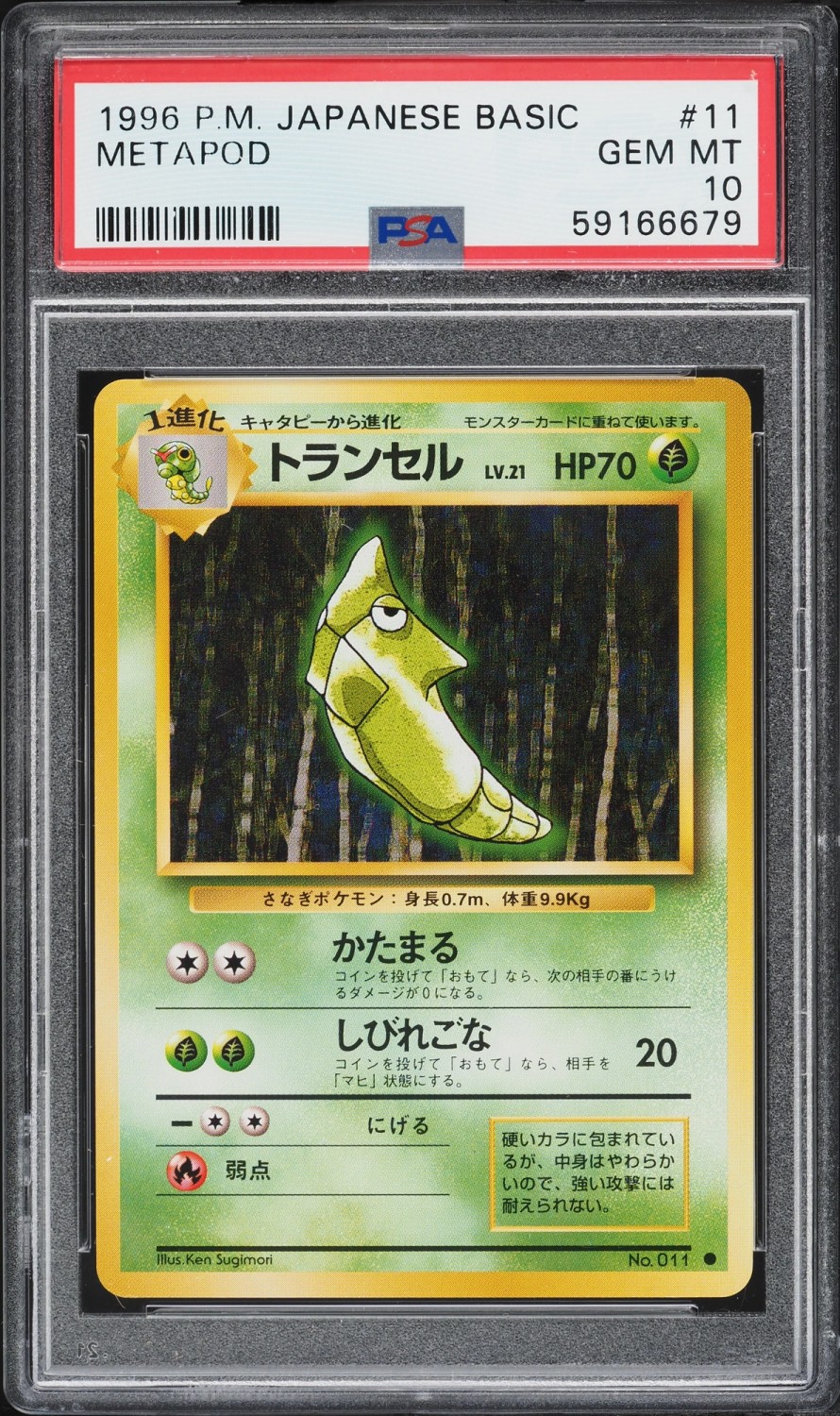 Metapod