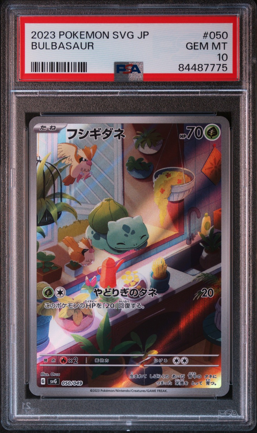 Bulbasaur
