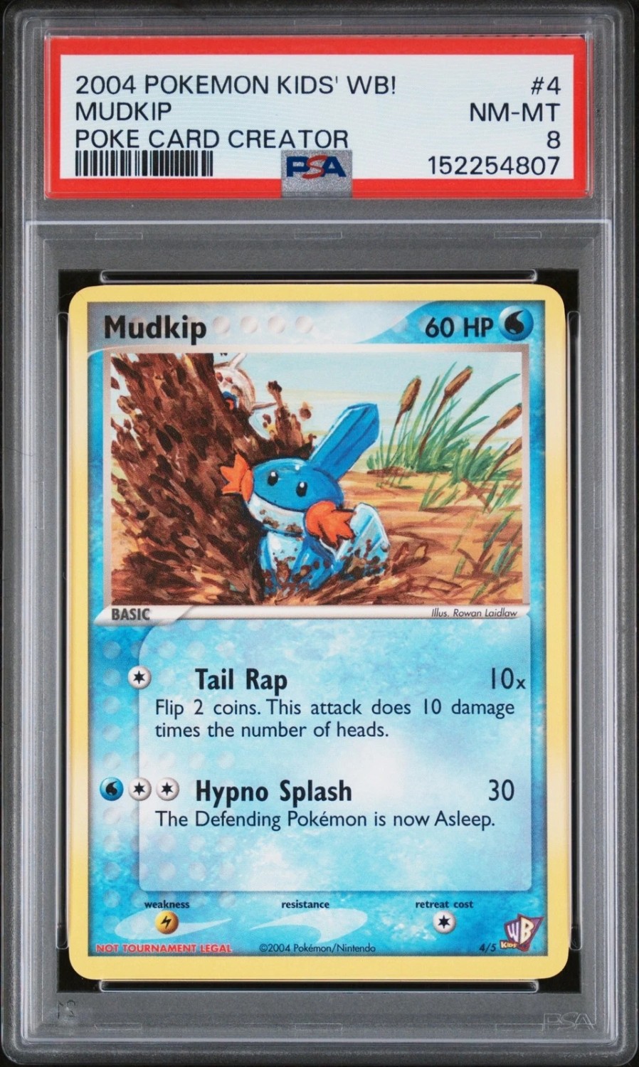 Mudkip