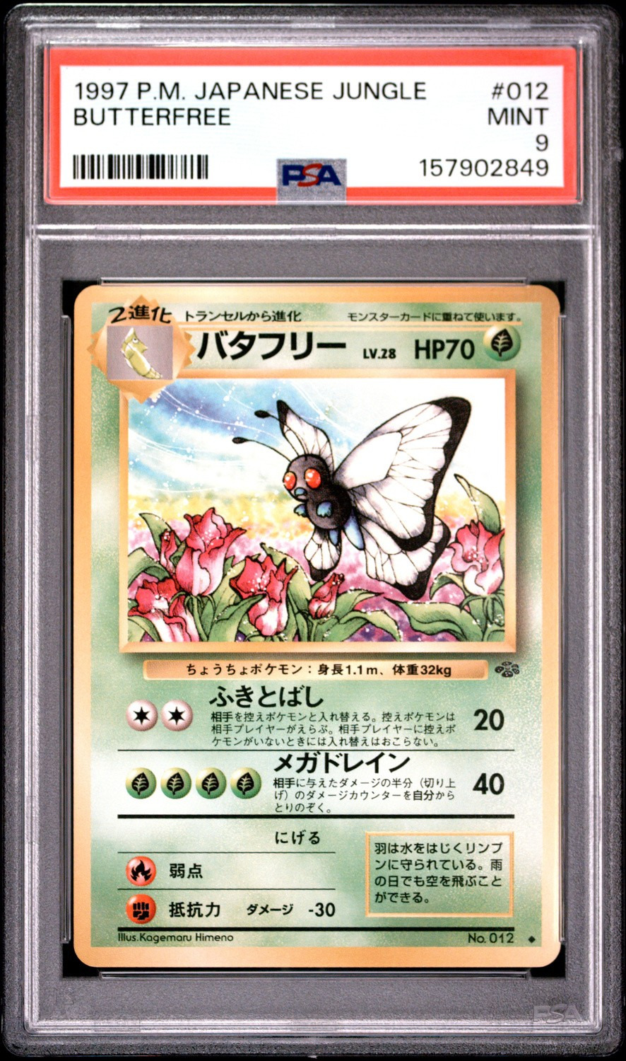 Butterfree