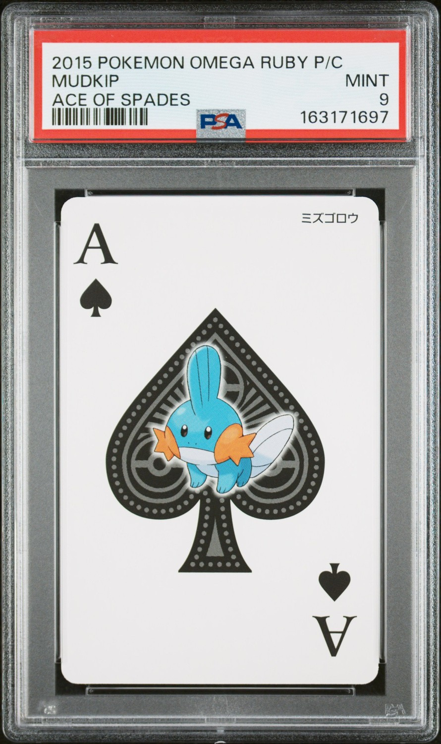 Mudkip