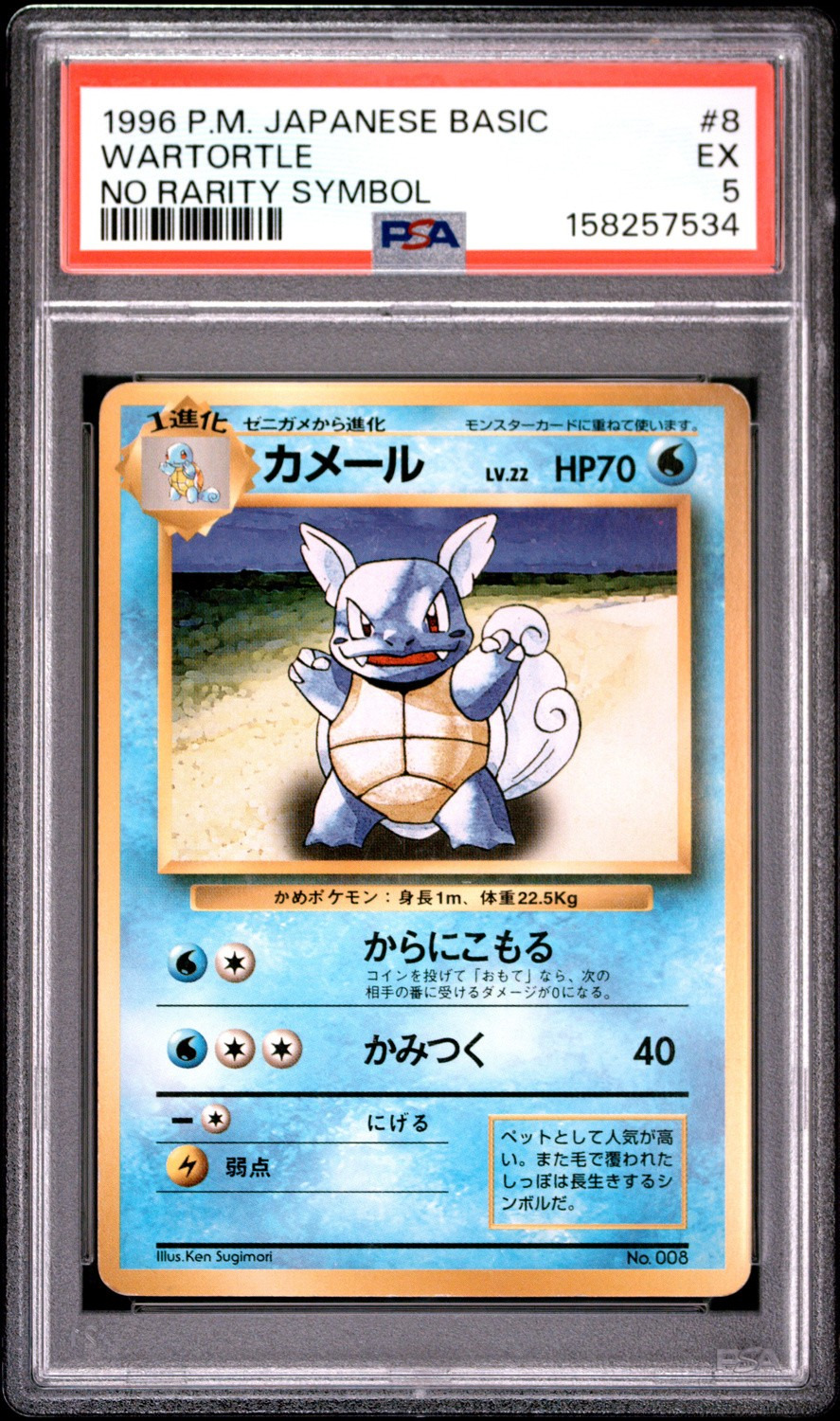 Wartortle