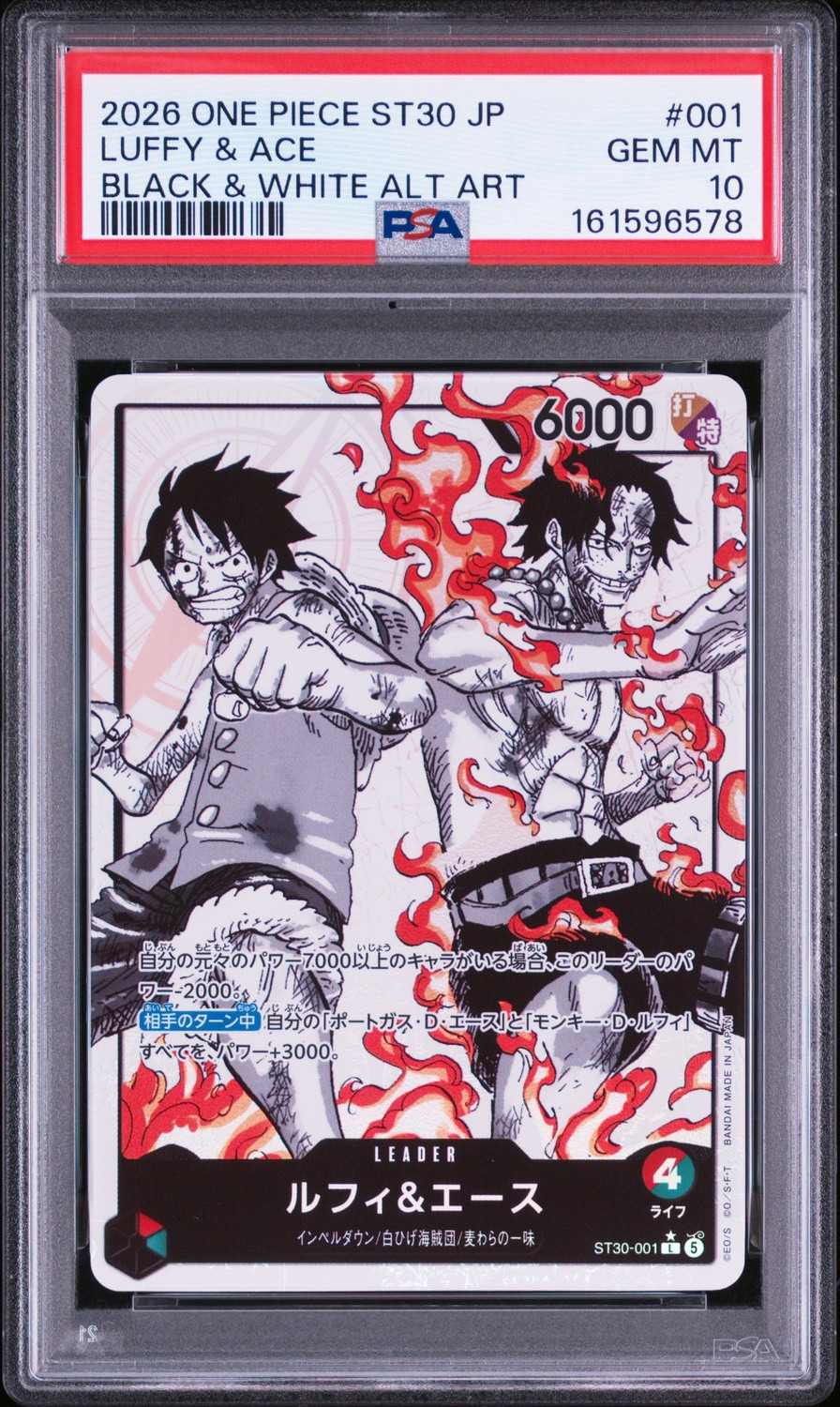 Luffy & Ace