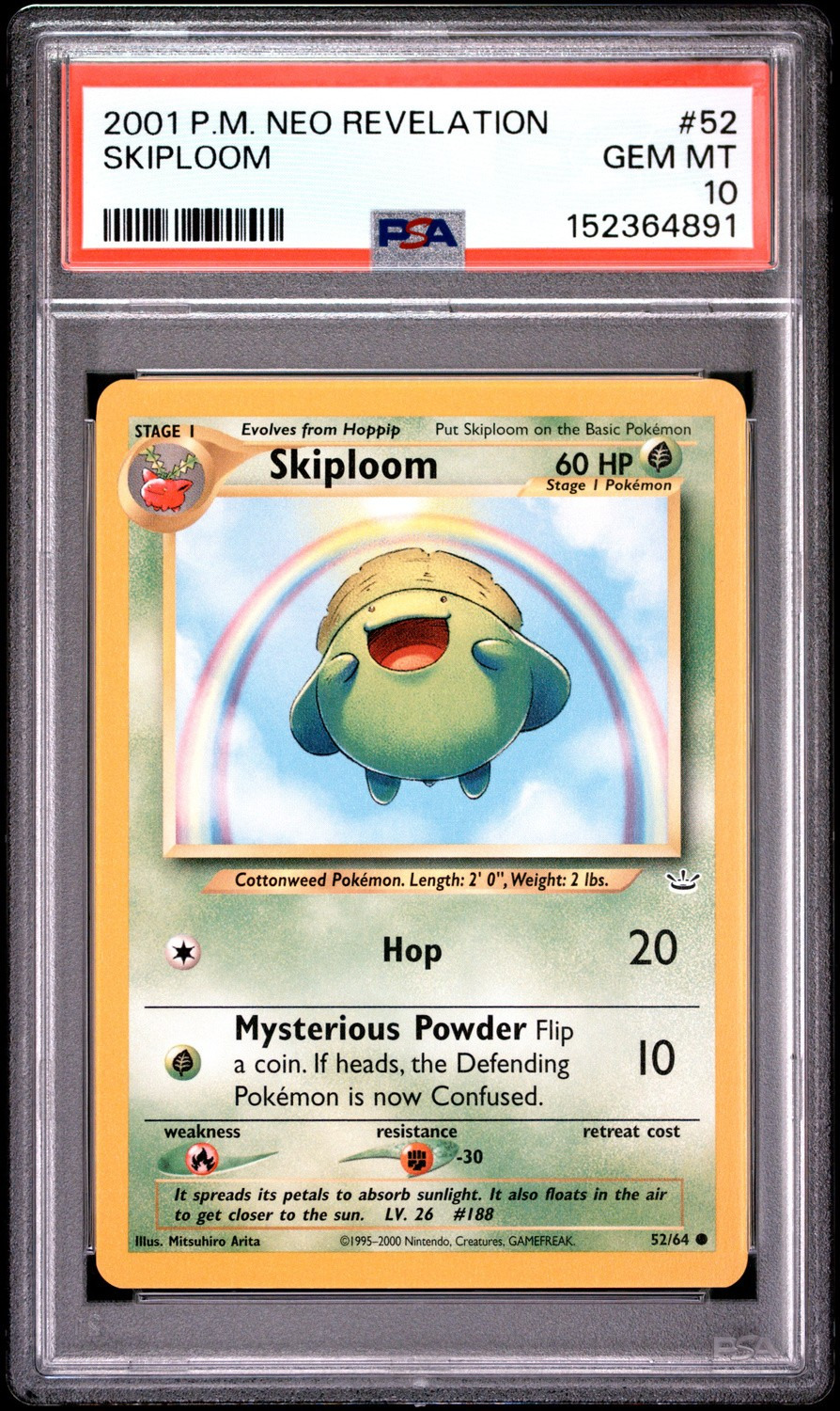 SKIPLOOM