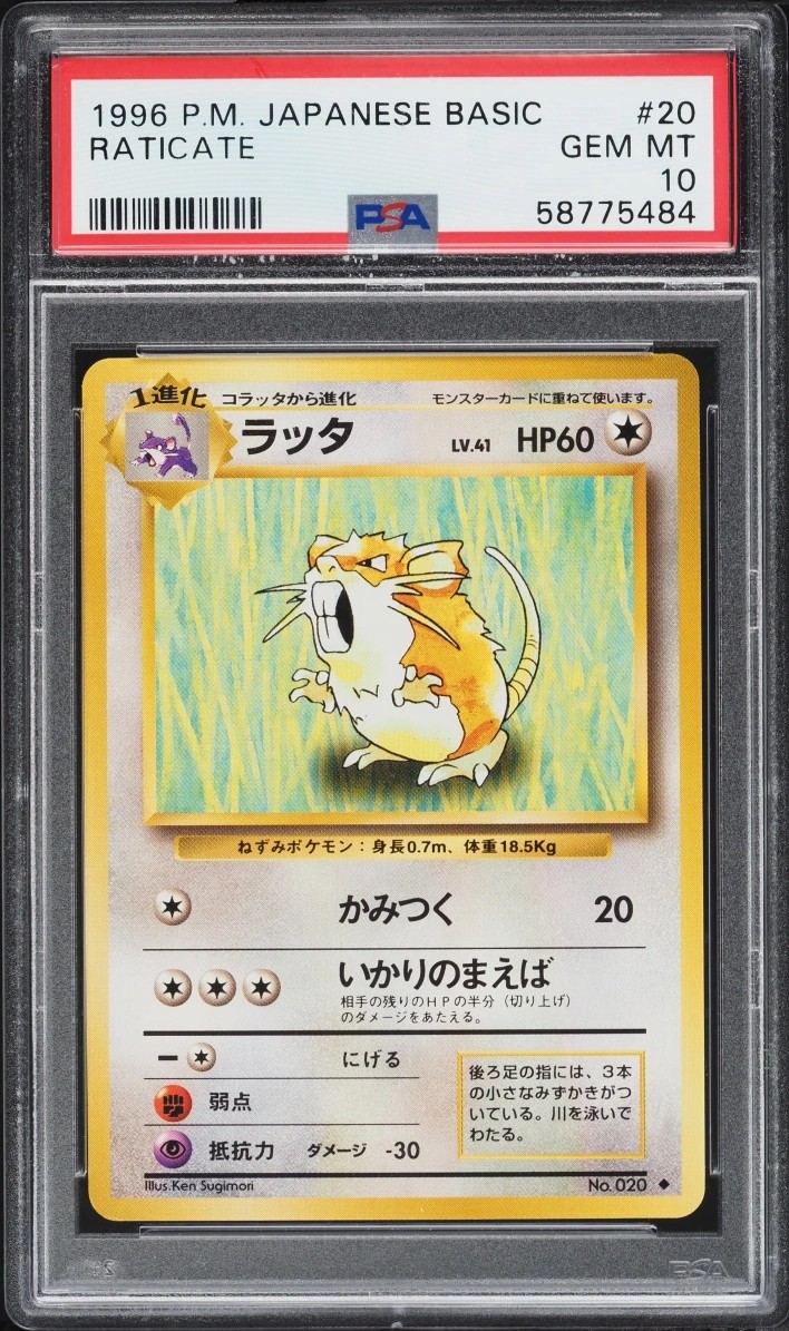 Raticate
