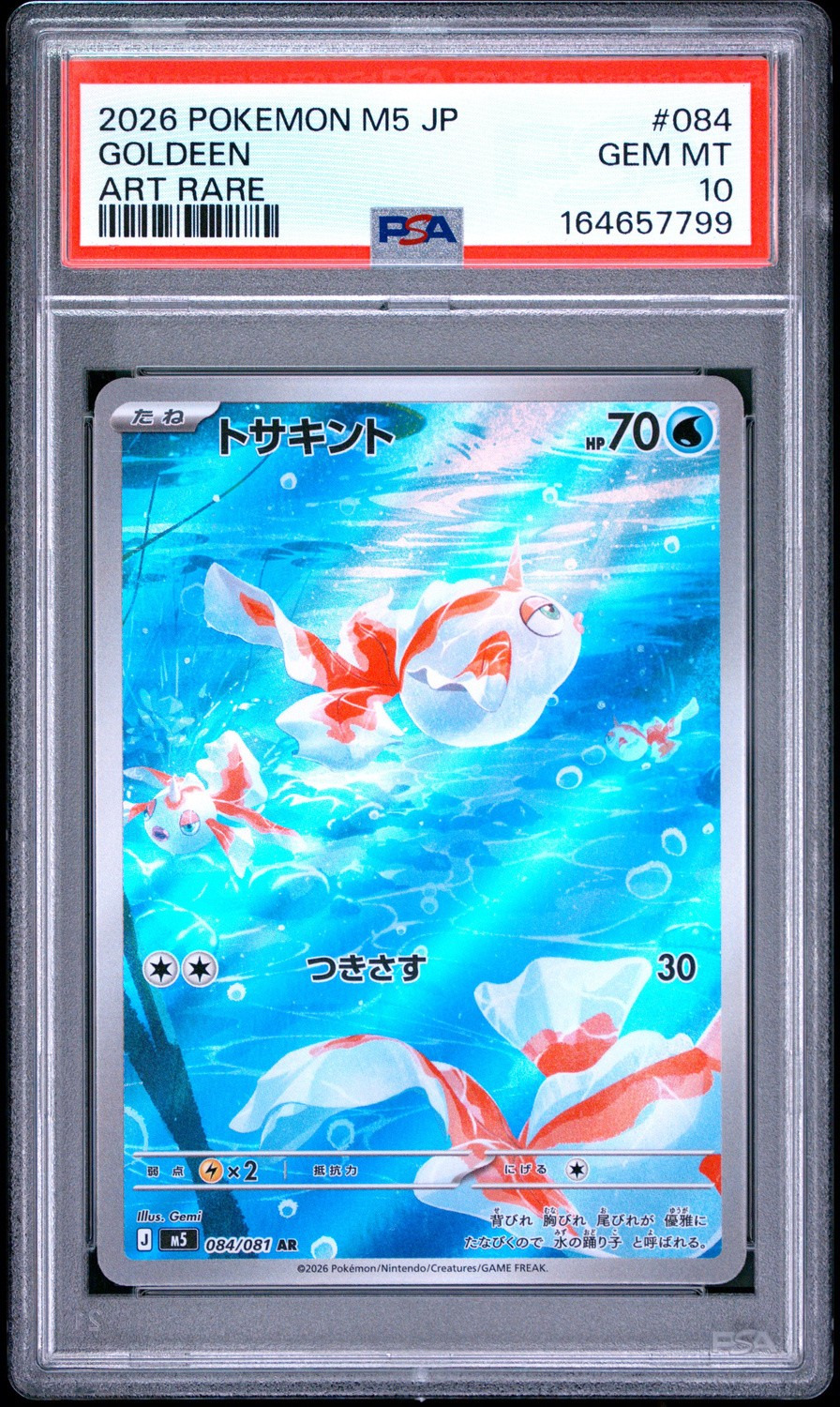 Goldeen