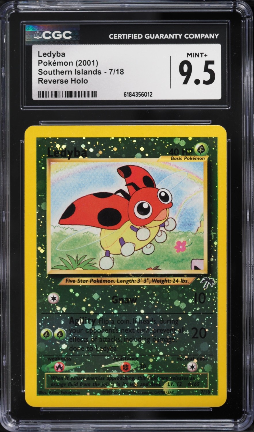 Ledyba