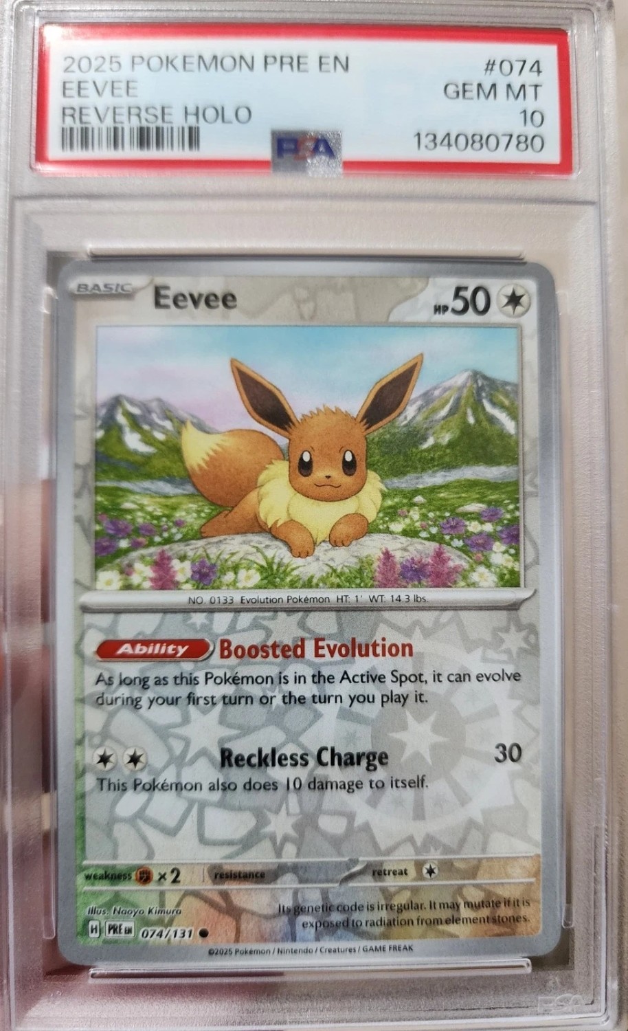 Eevee