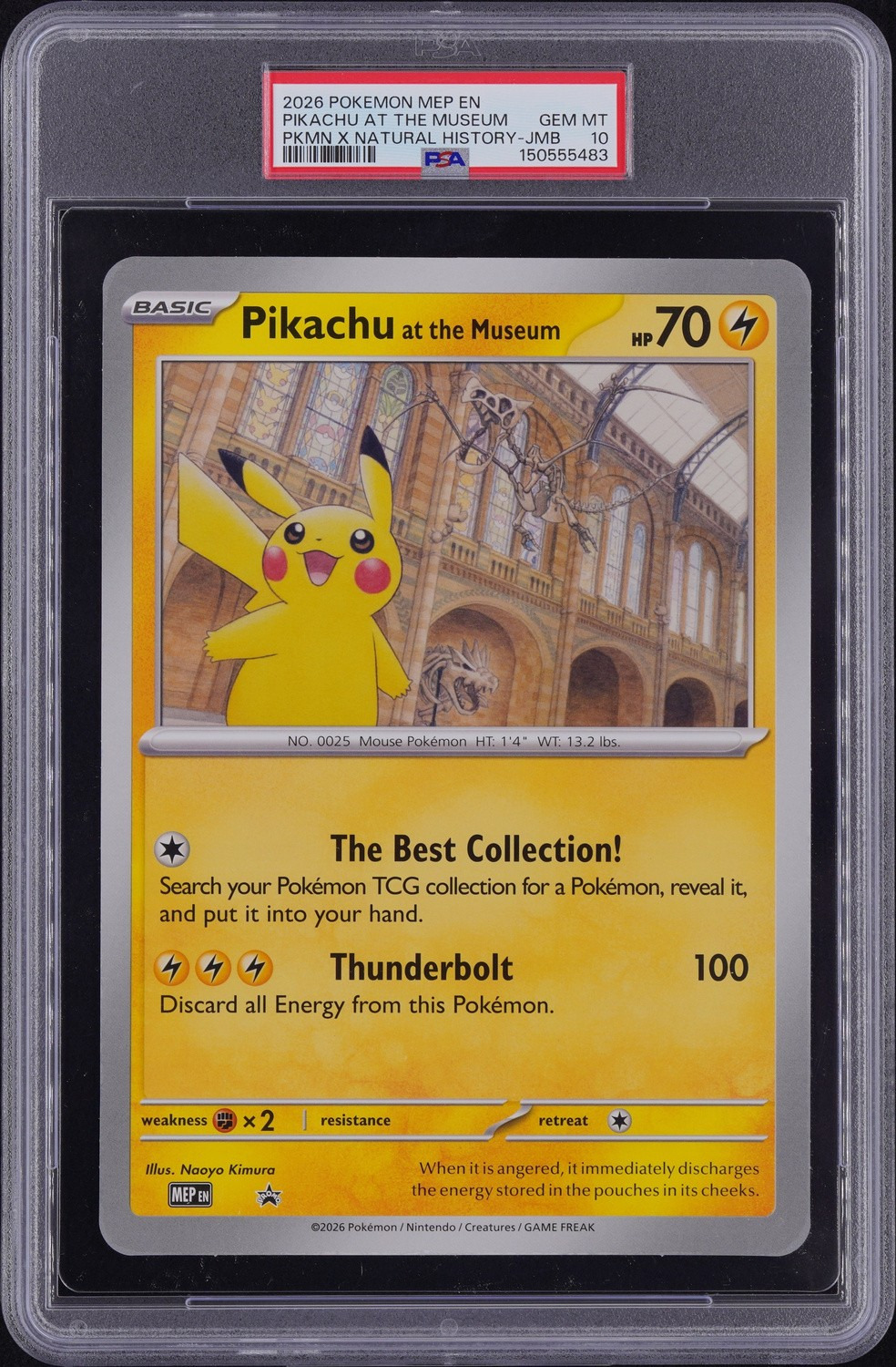 Pikachu At The Museum