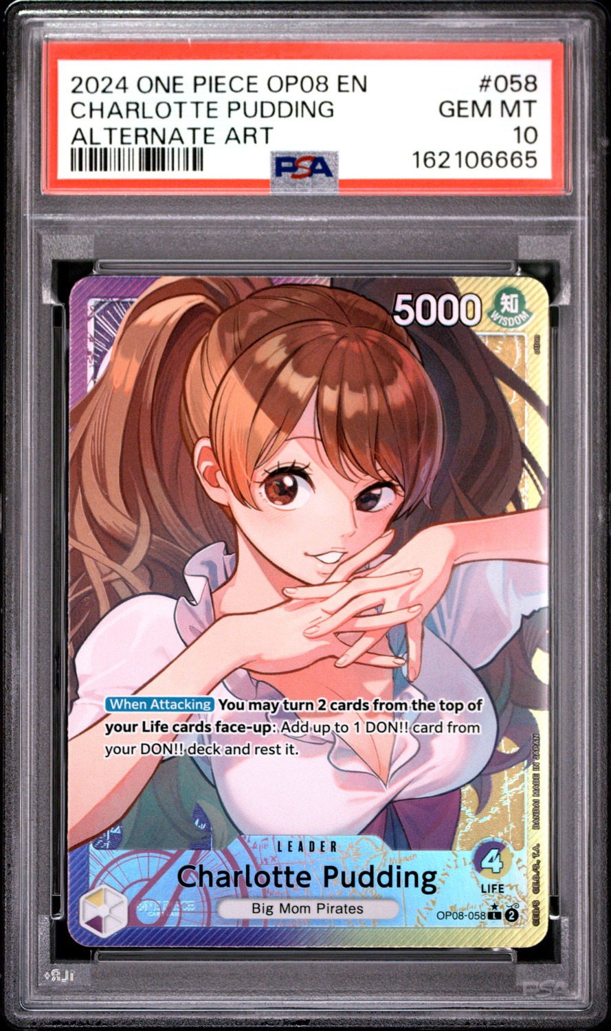 Charlotte Pudding