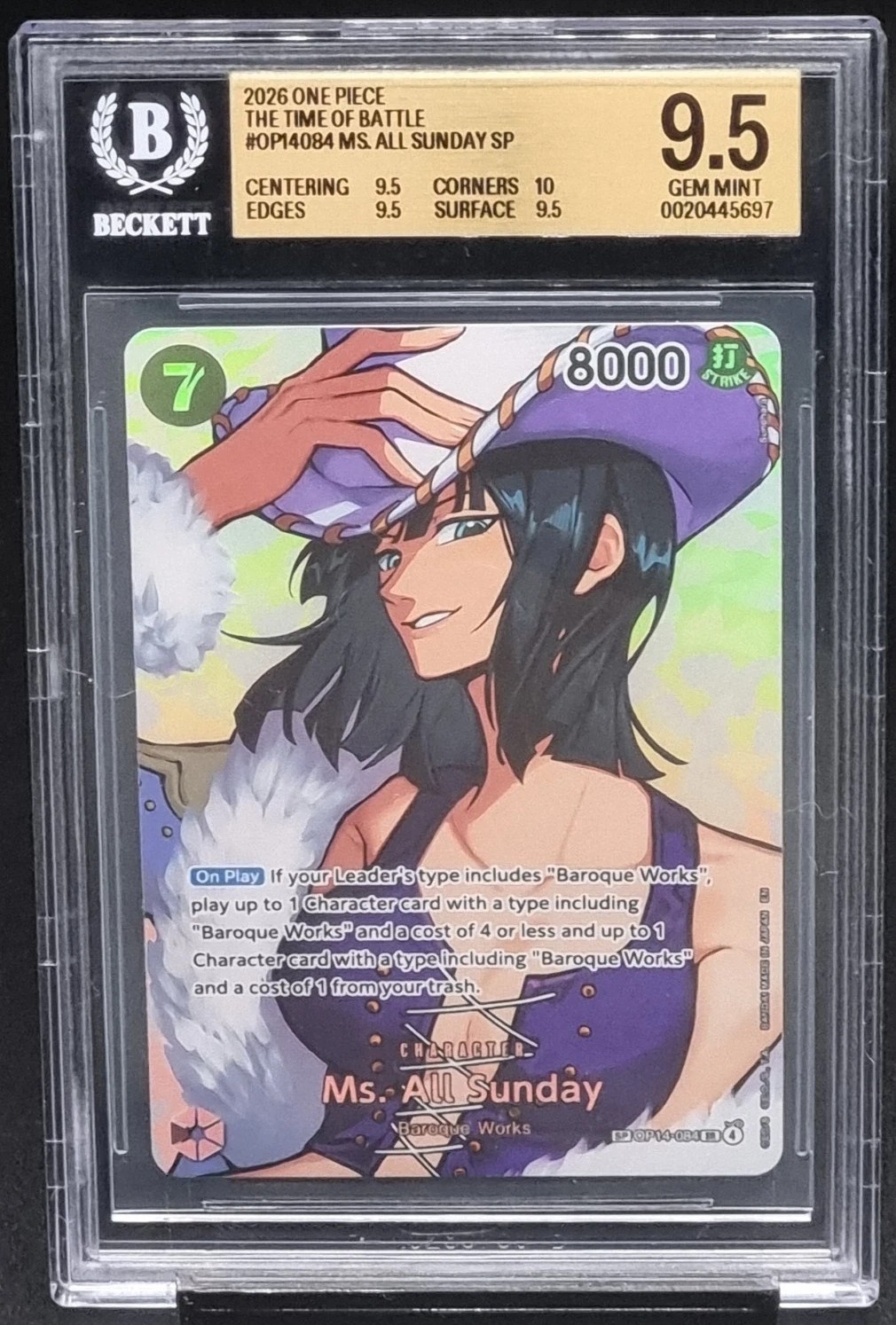 Ms. All Sunday Sp