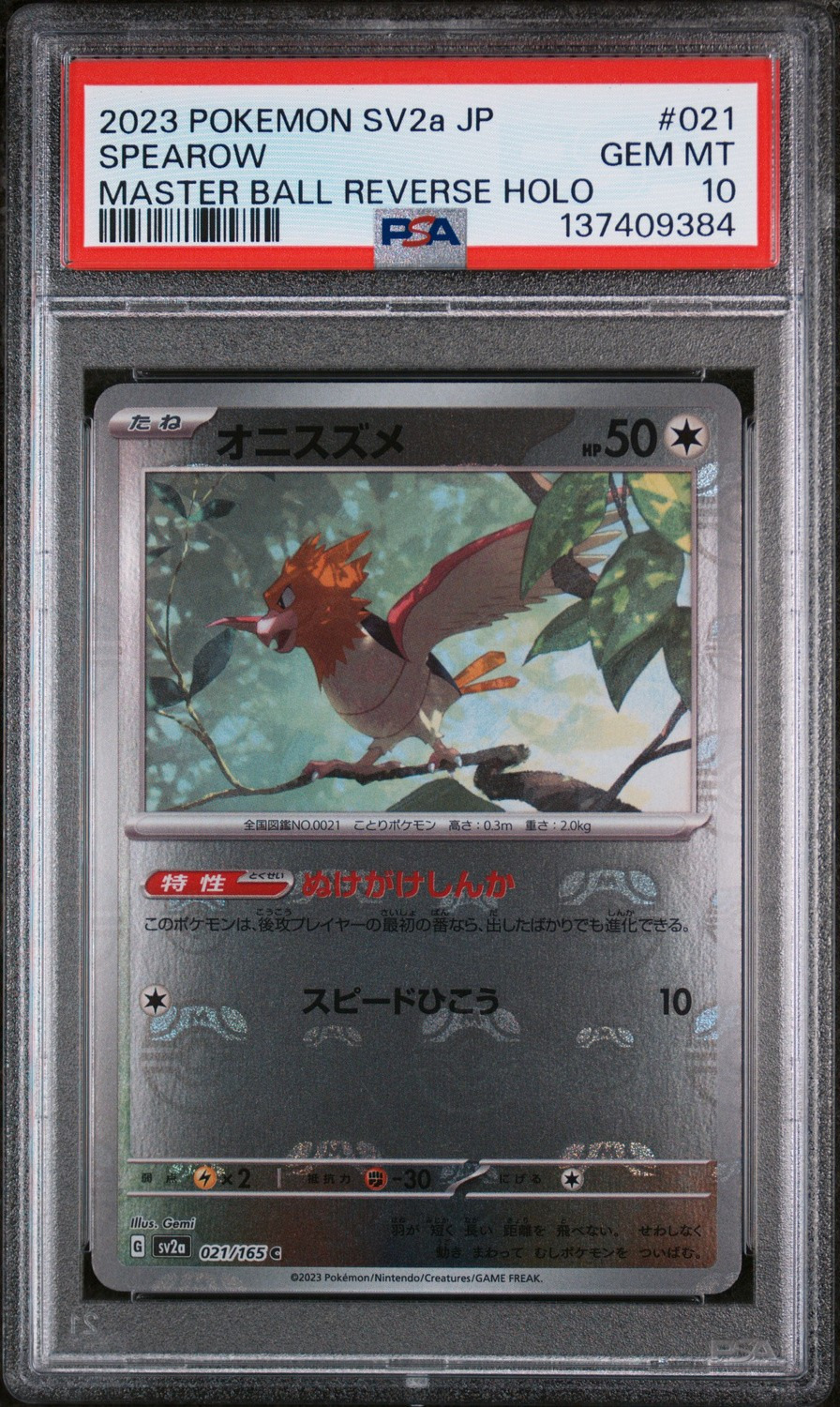 Spearow