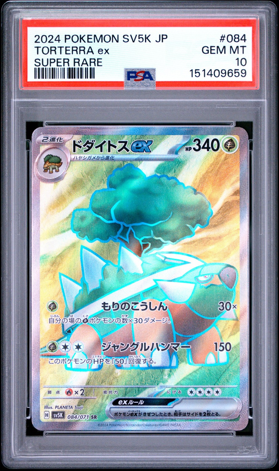 Torterra Ex