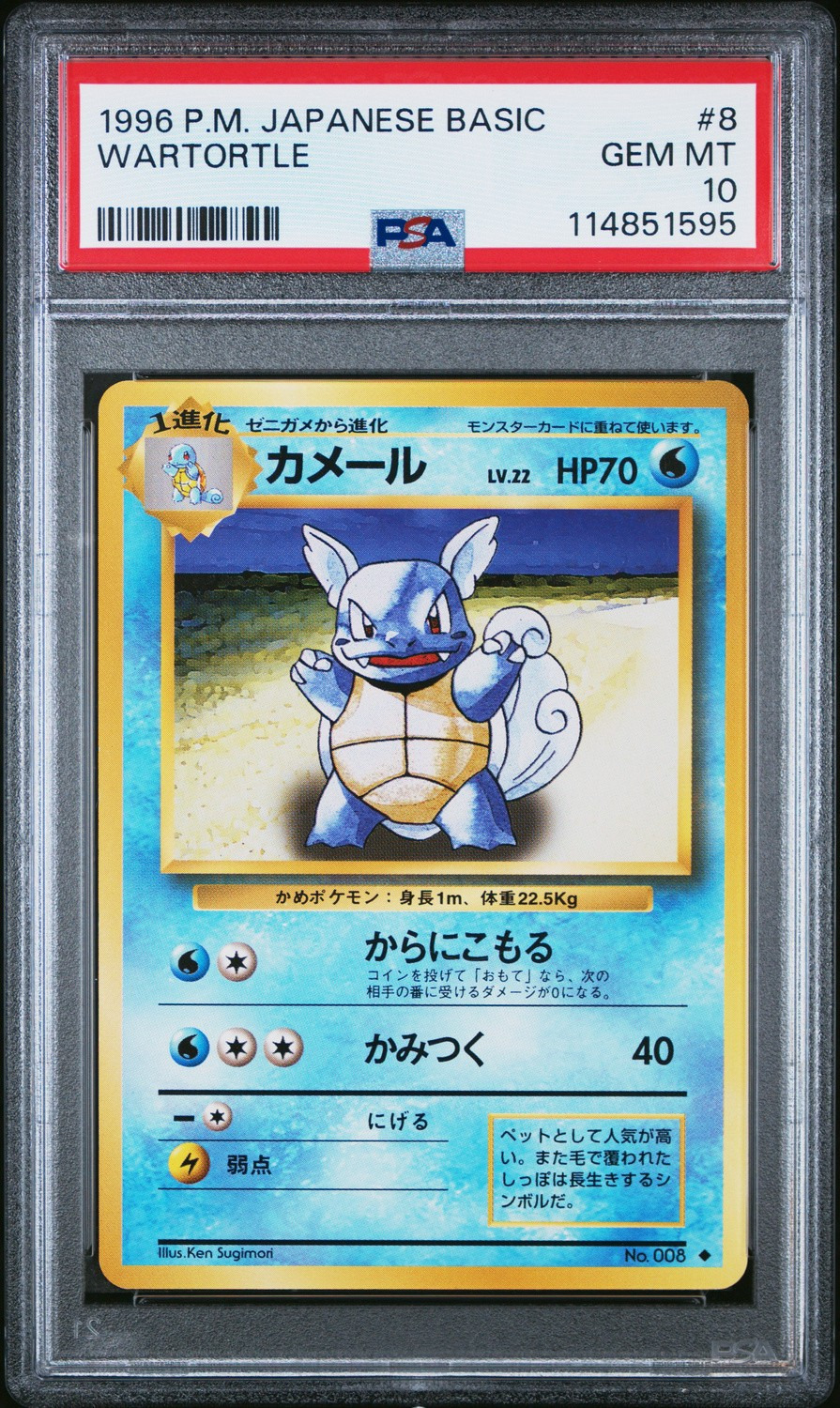 Wartortle