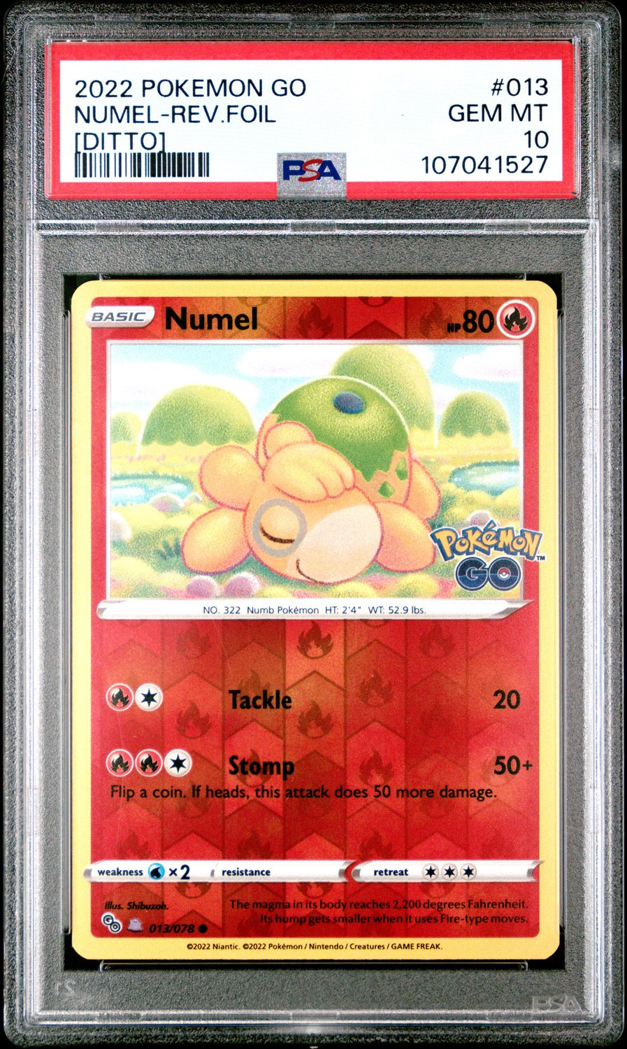 Numel (ditto)