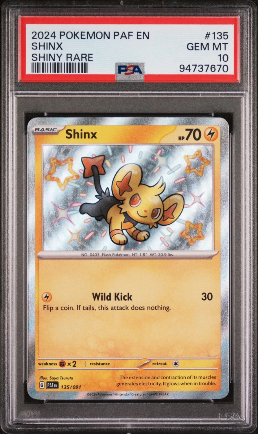 Shinx