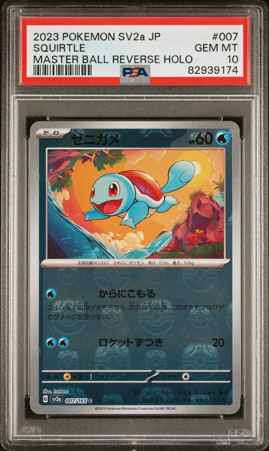 Squirtle