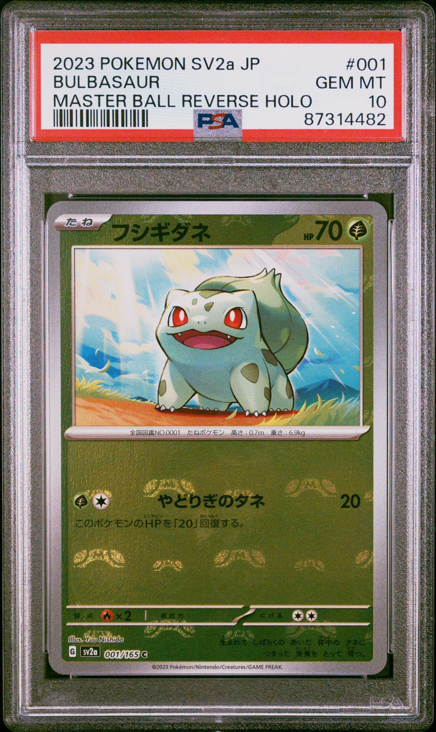 Bulbasaur