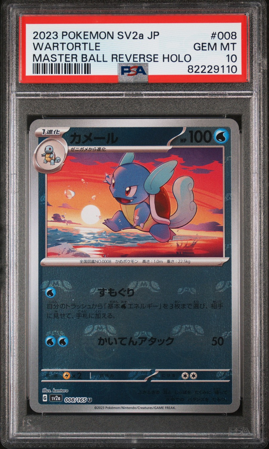 Wartortle
