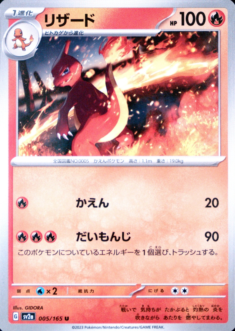 Holo
