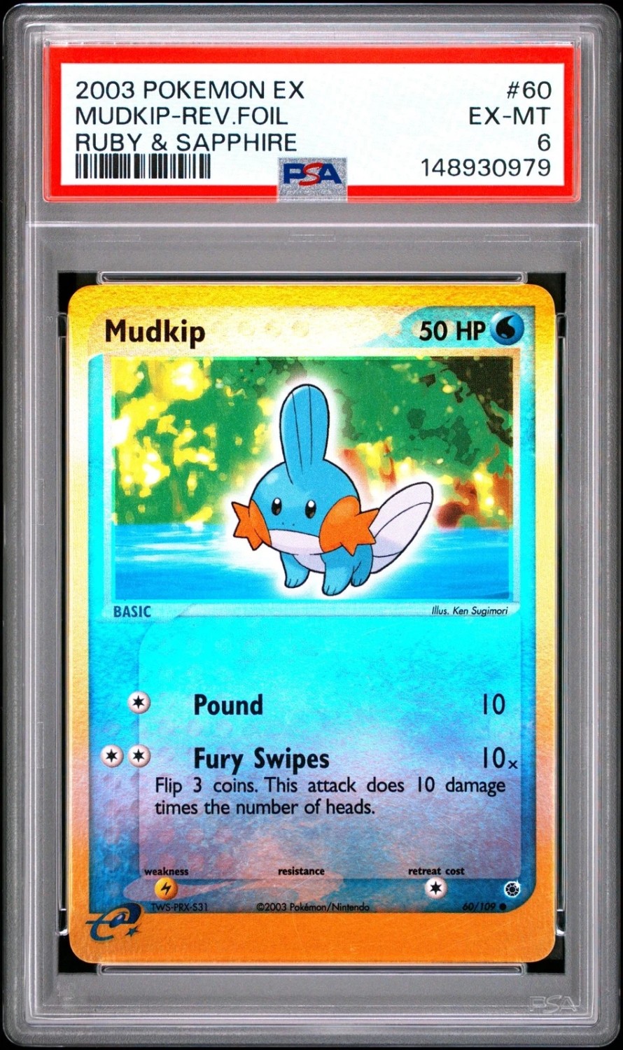 Mudkip