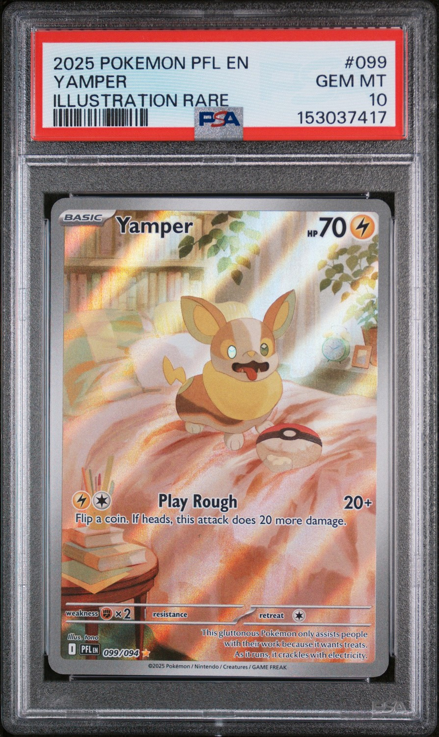 Yamper
