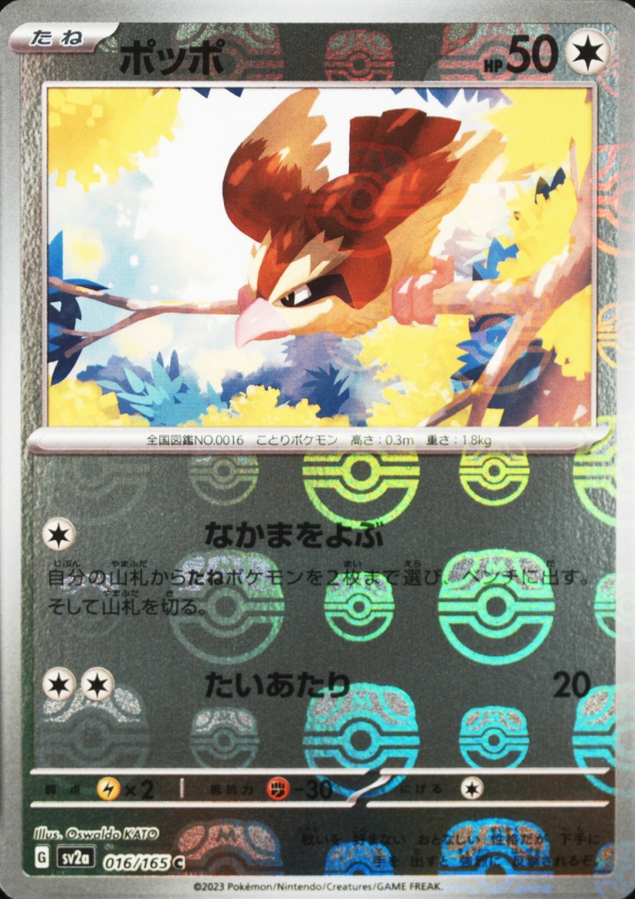 Pidgey