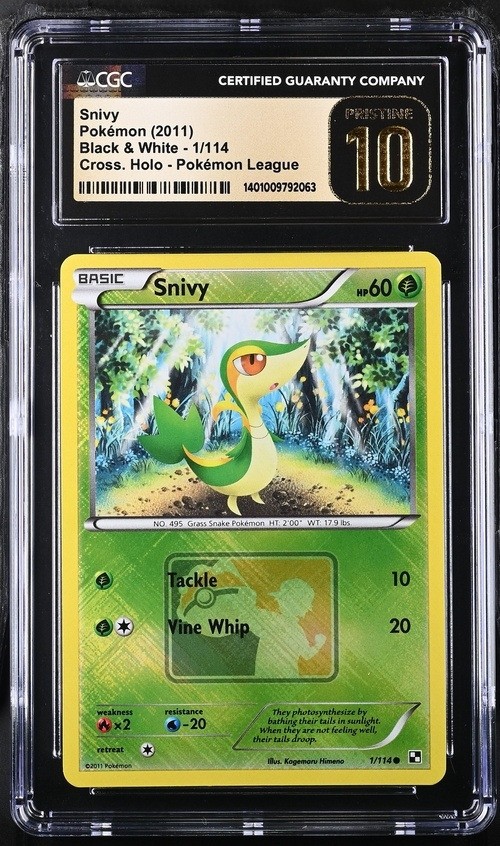Snivy