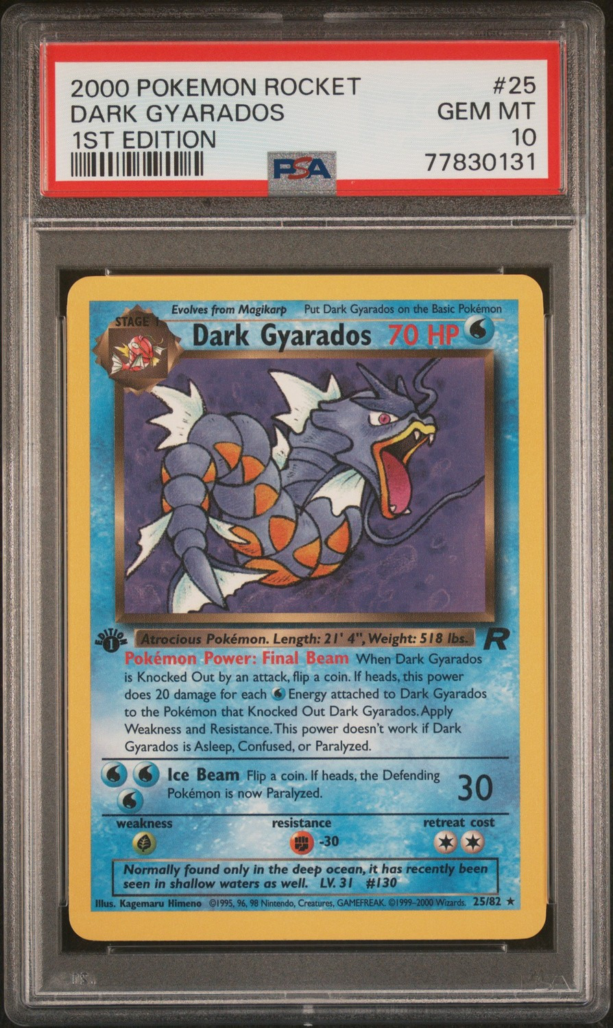 Dark Gyarados