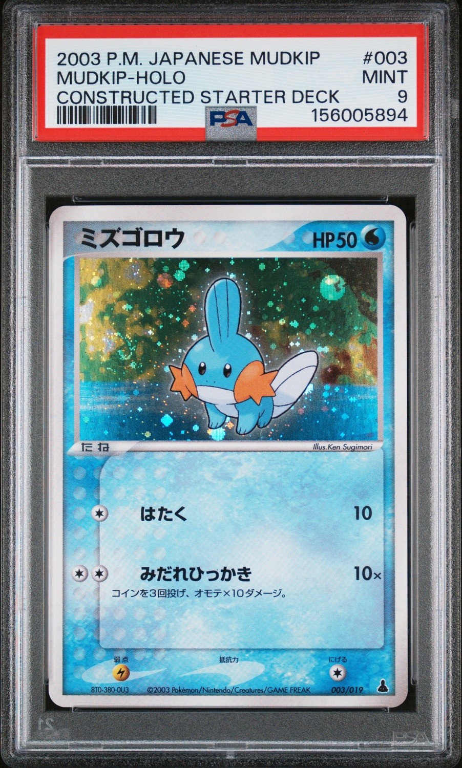 Mudkip
