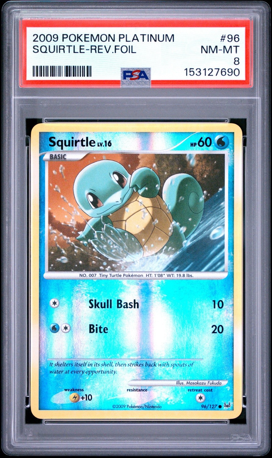 Squirtle