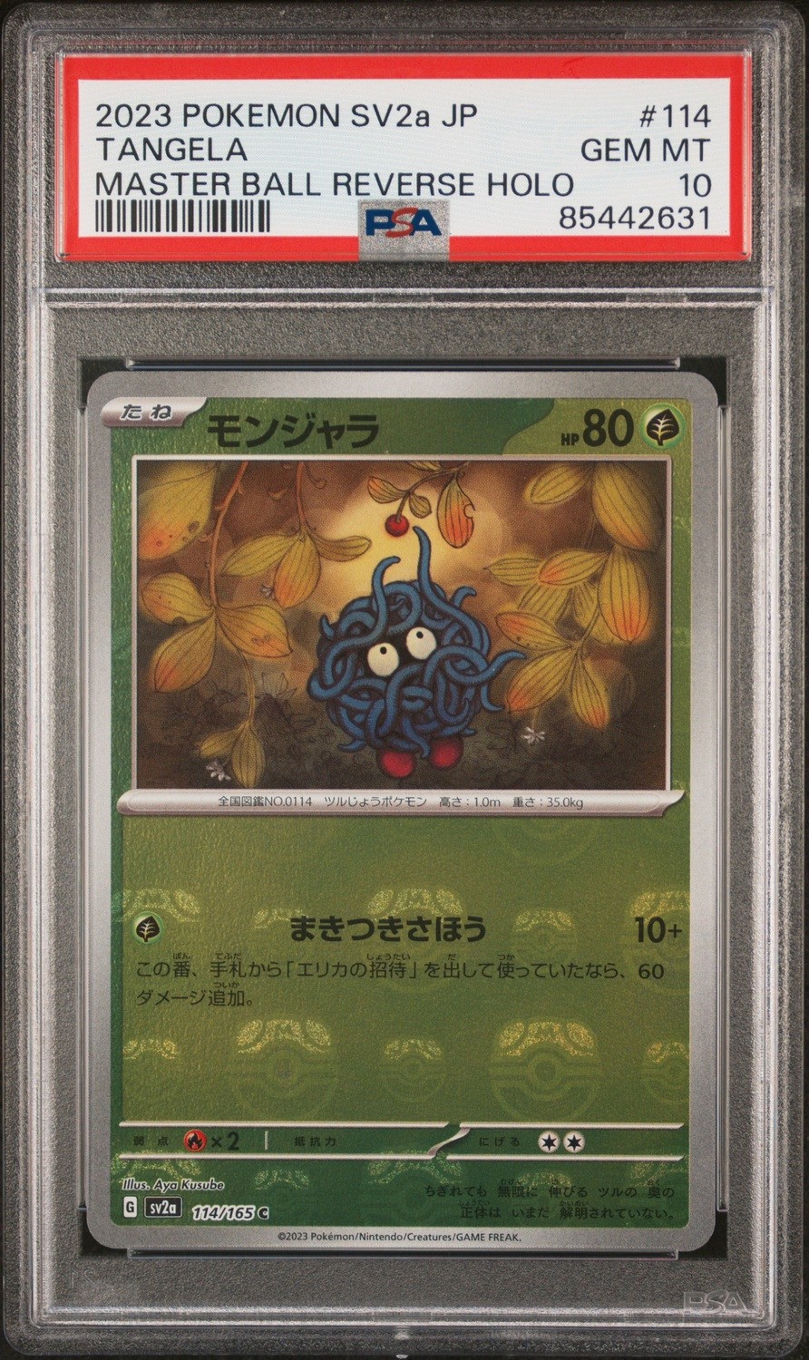 Tangela
