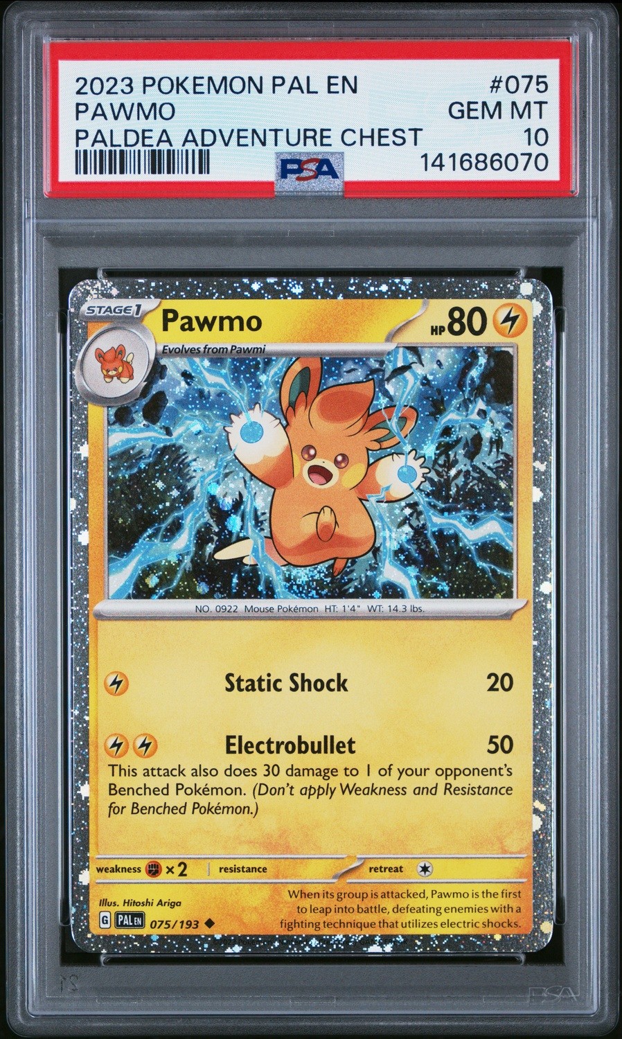 Pawmo