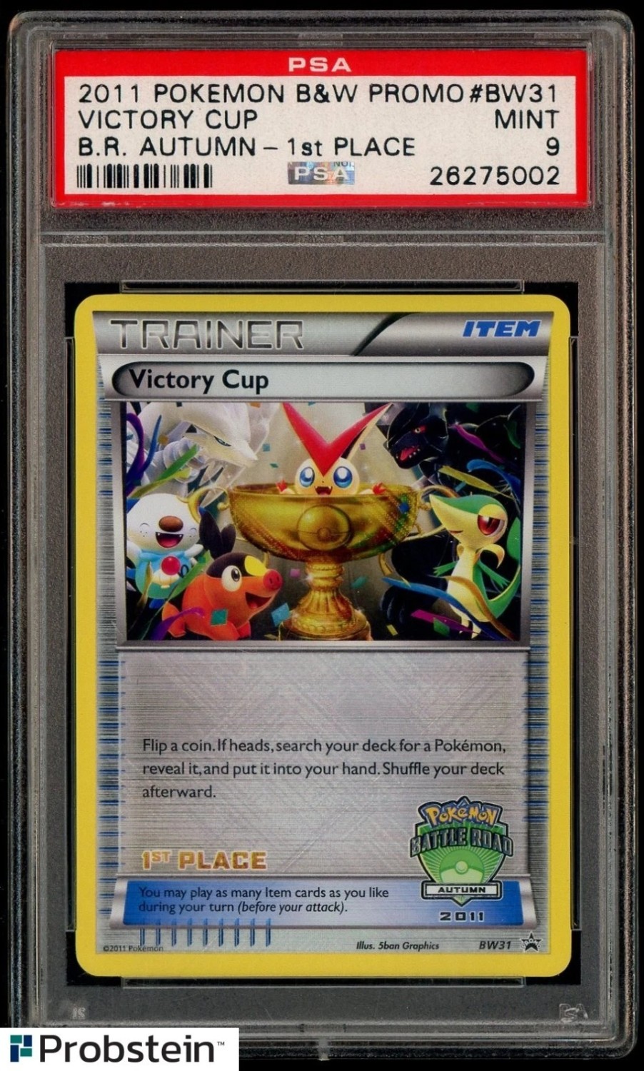 VICTORY CUP