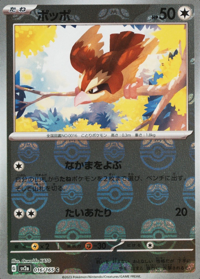Pidgey