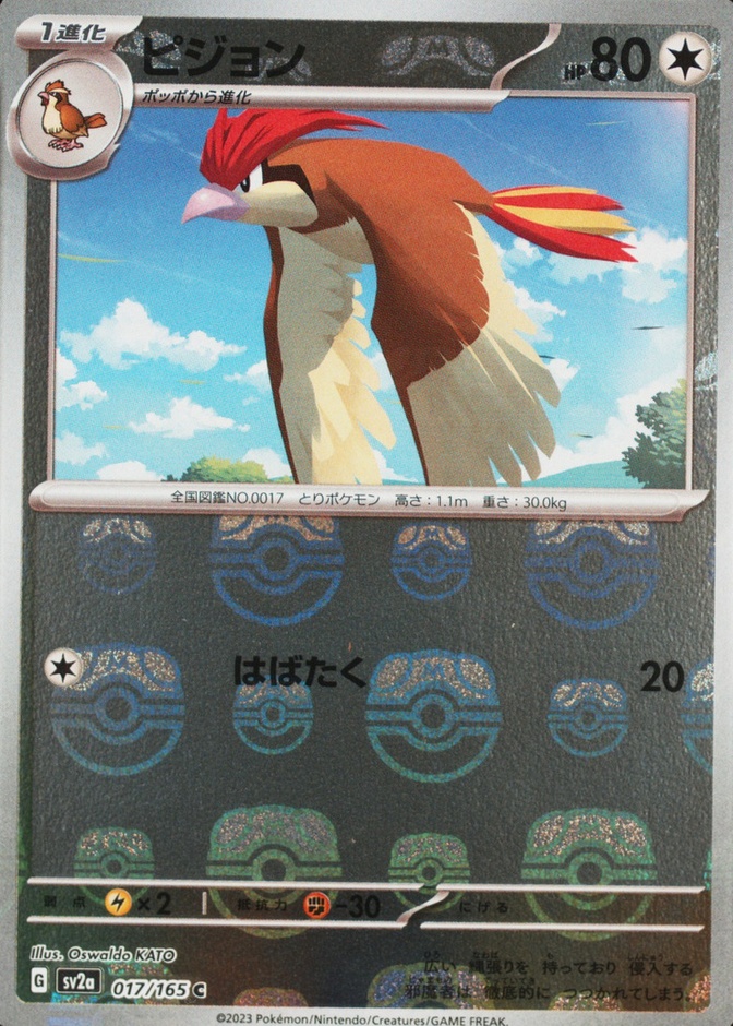 Pidgeotto