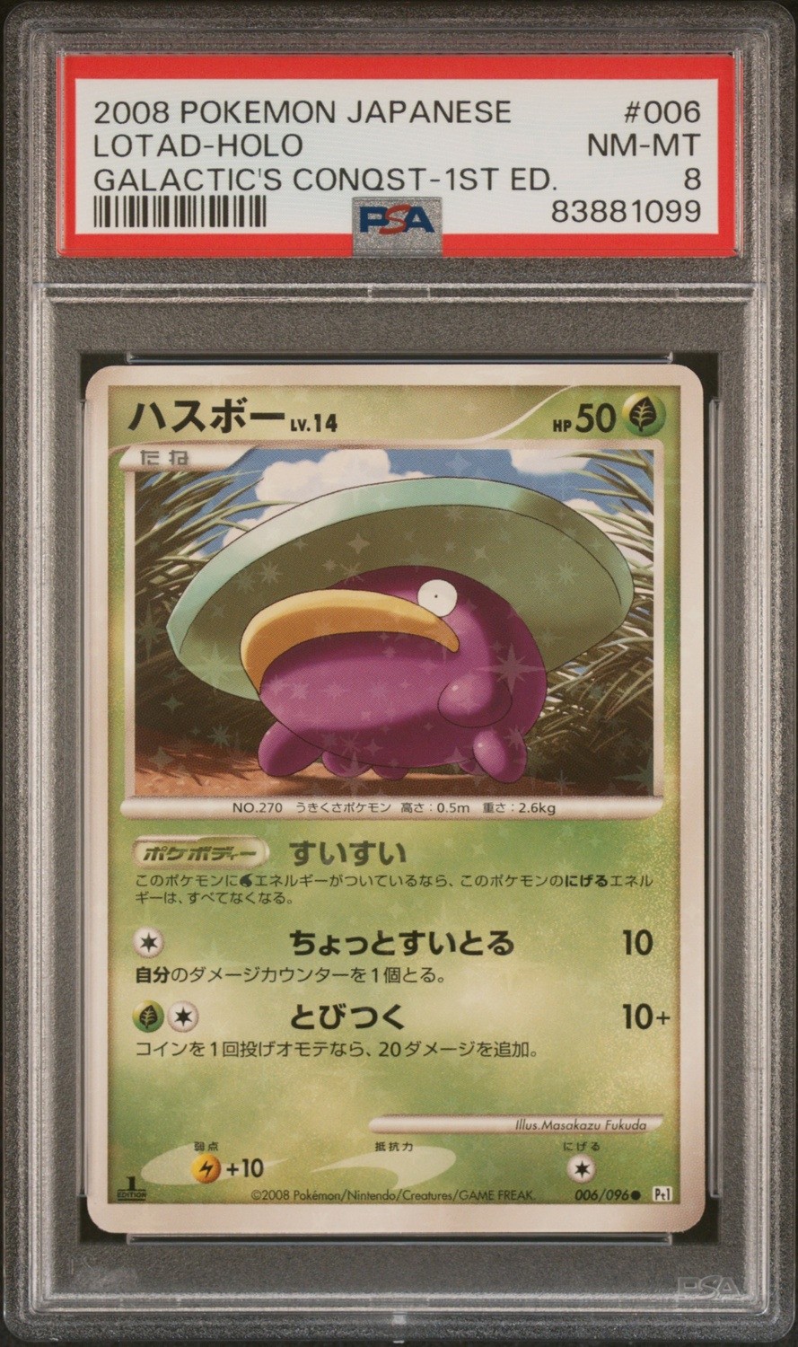 Lotad