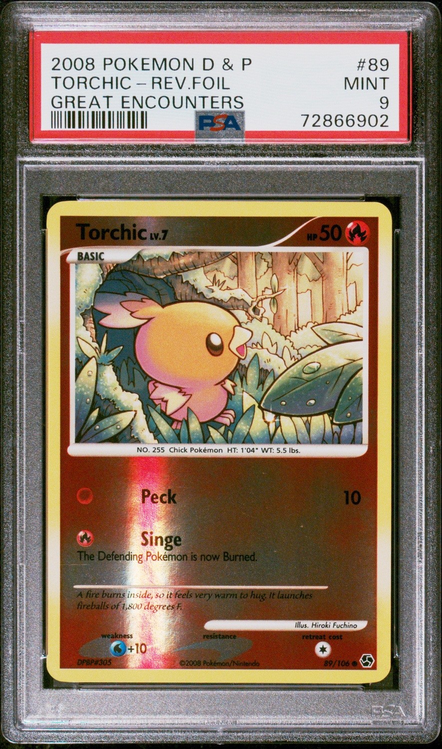 Torchic