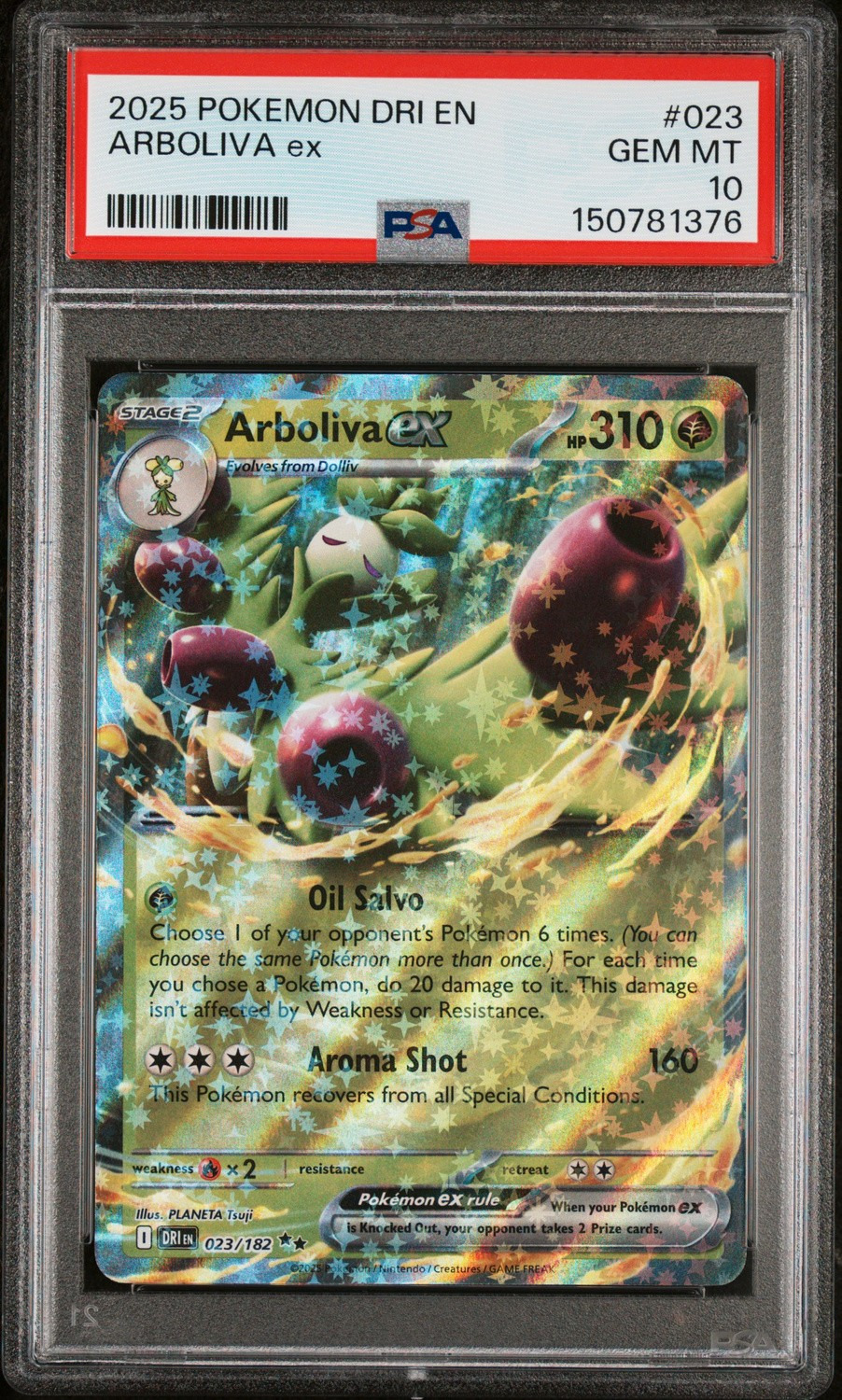 ARBOLIVA ex
