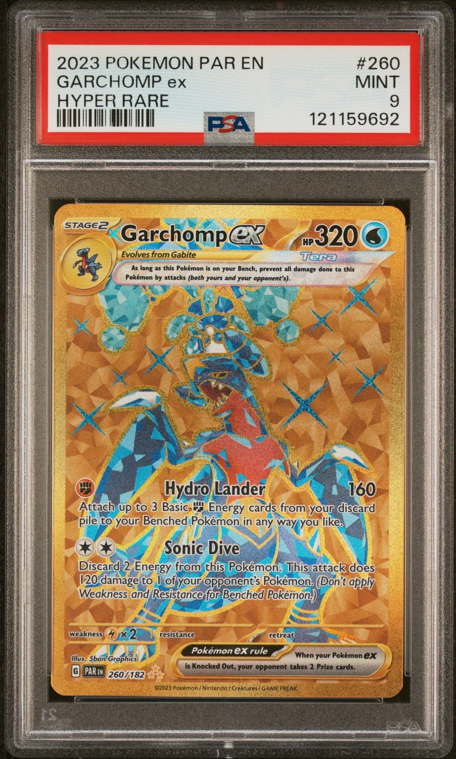 GARCHOMP ex