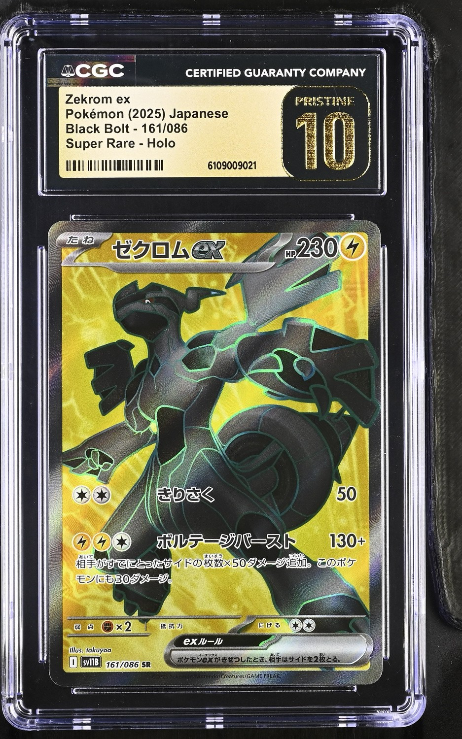 ZEKROM ex