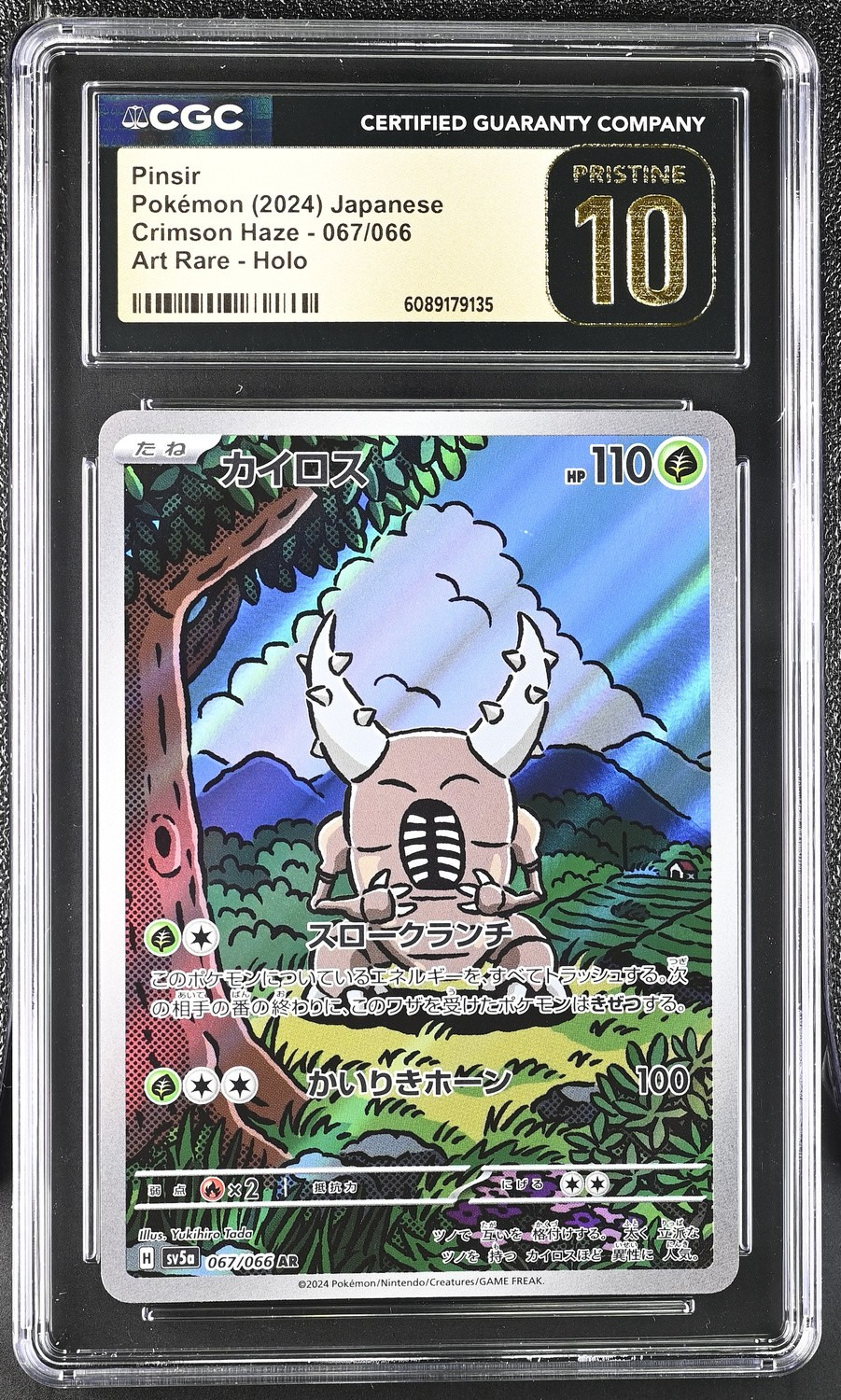Pinsir