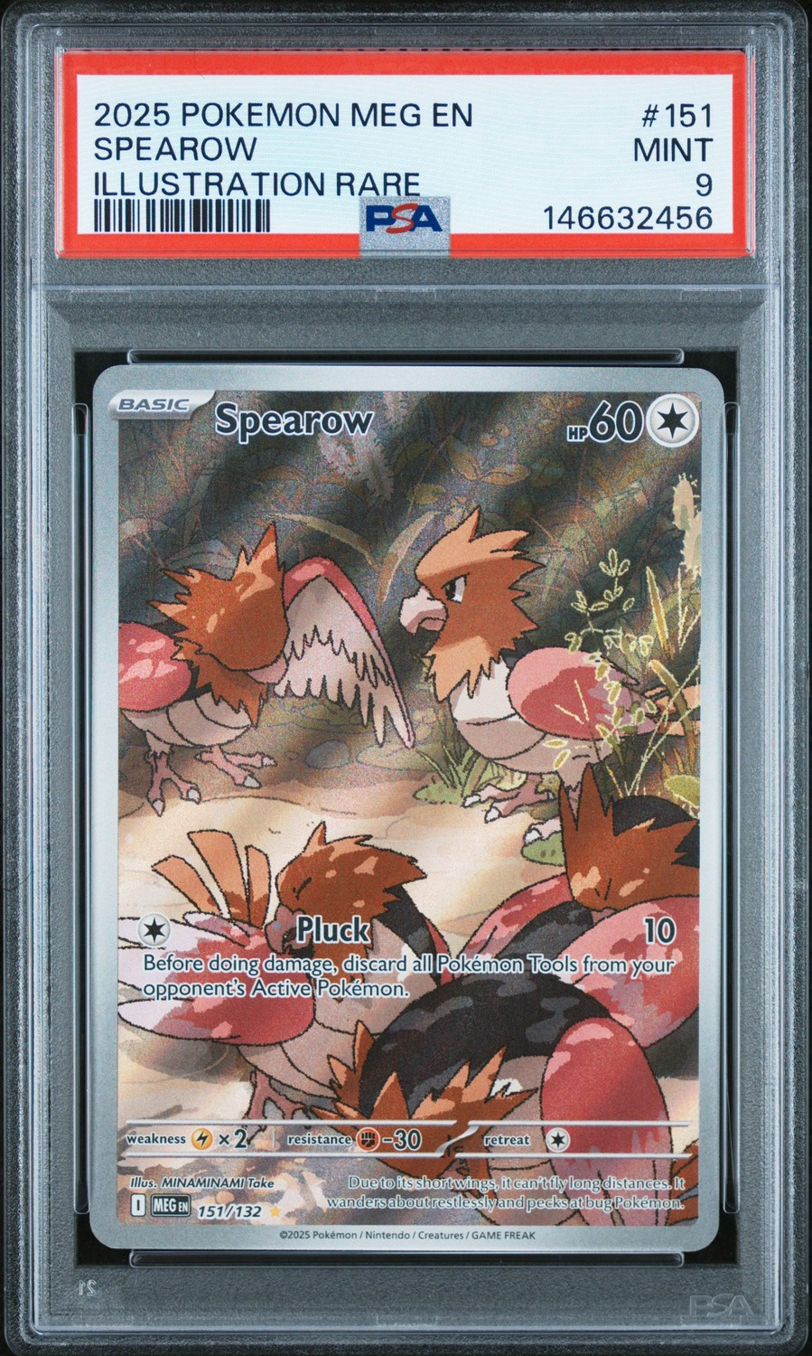 Spearow