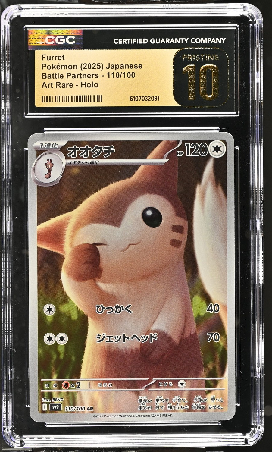 Furret