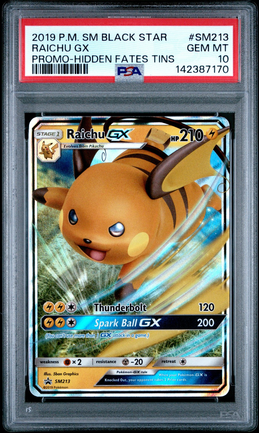 Raichu GX
